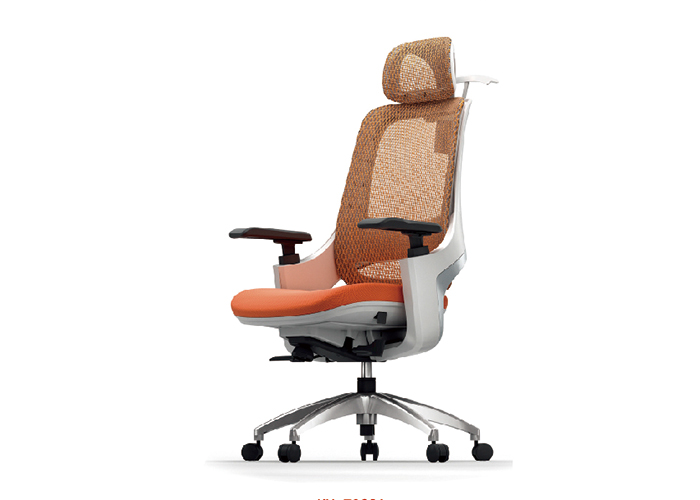 邁斯特人體工學椅B06，上海人體工學椅，【尺寸 價格 圖片 品牌